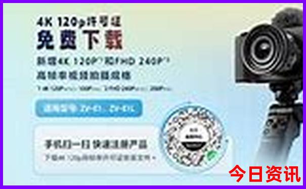 大姓排行榜前十名